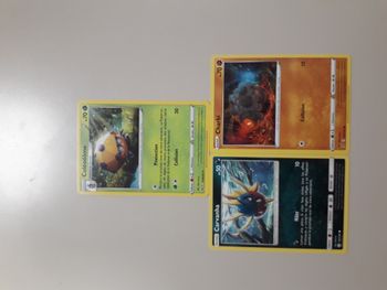 Coléodôme + Carvanha + Charbi lot de 3 cartes Pokémon neuves