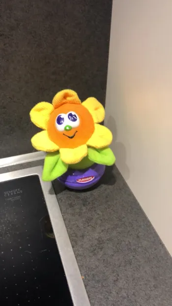 Fleur playskool