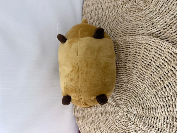Mewaii Peluche Capybara Kawaii - photo numéro 5