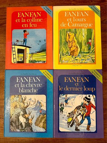 Lot de 4 Grands albums Hachette Pierre Probst Fanfan protégeons les animaux anciens vintage