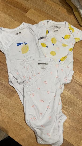 Lot bodies manche courte