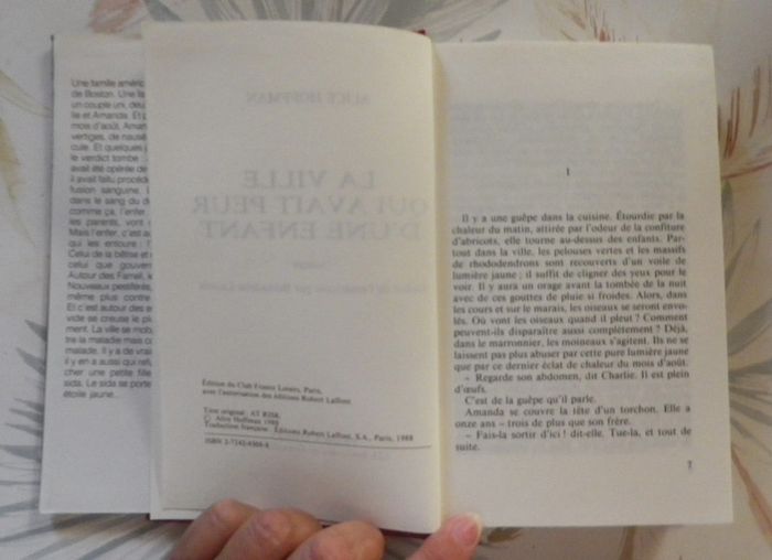 La ville qui avait peur d'une enfant de Alice Hoffman - photo numéro 5