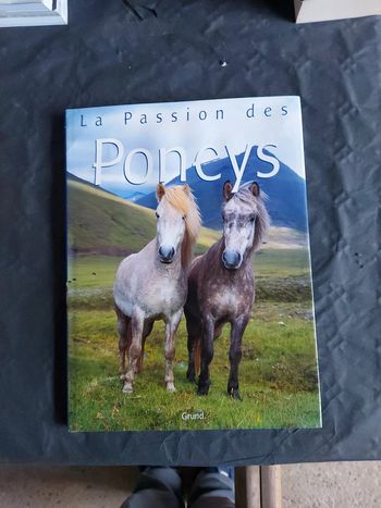 La passion des Poneys