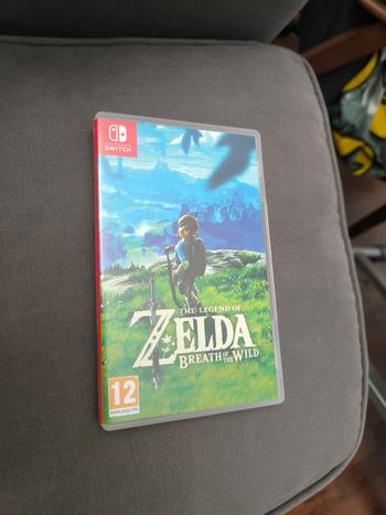 Zelda breath of the wild nintendo switch