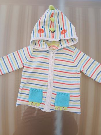 Gilet dinosaure