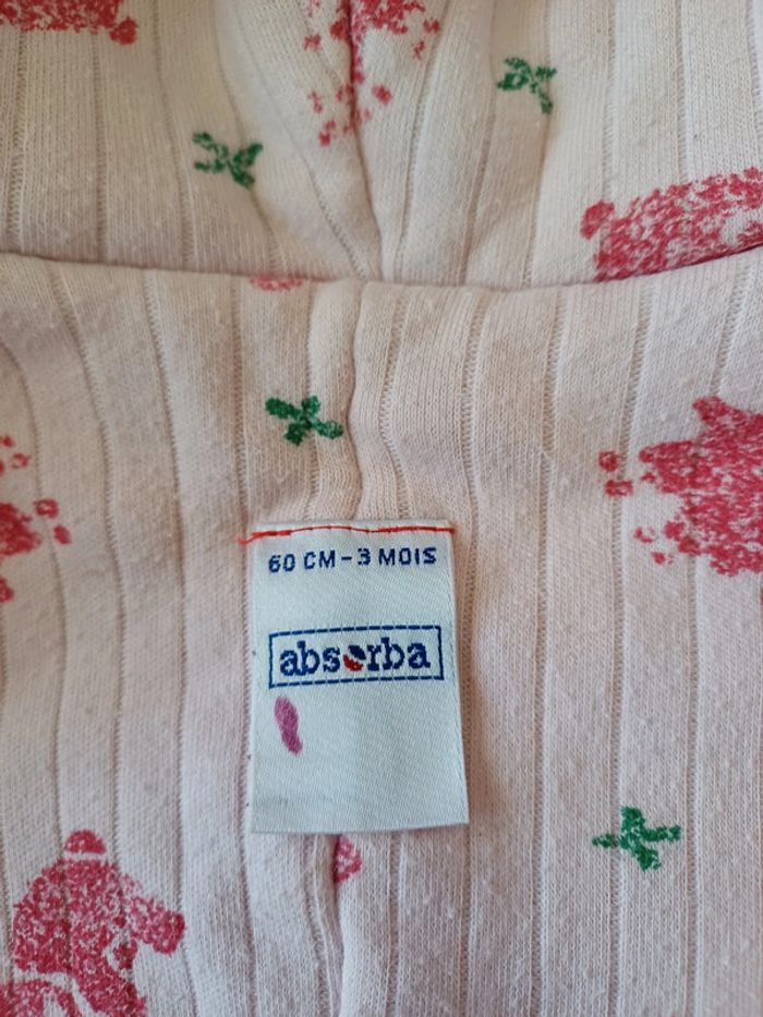 Combi pilote absorba - photo numéro 4