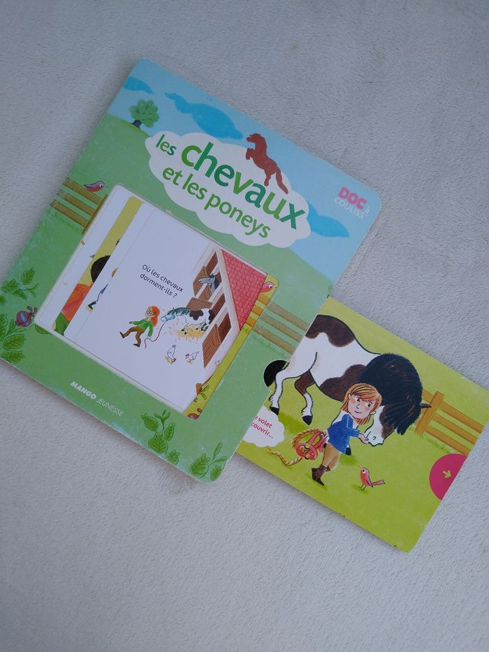 Livre Les chevaux et les poneys Mango - photo numéro 4