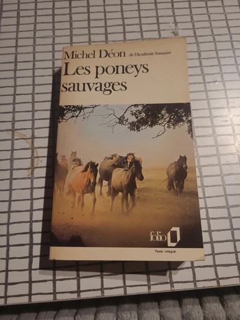 Les poneys sauvages