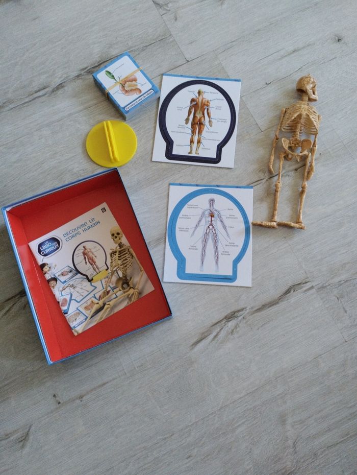 Découvre le corps humain - photo numéro 3