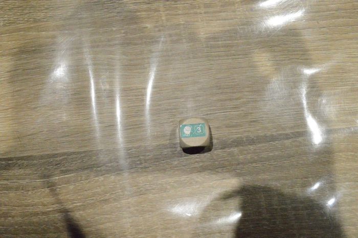 Jeu défi nature Chrono + Europe - photo numéro 3