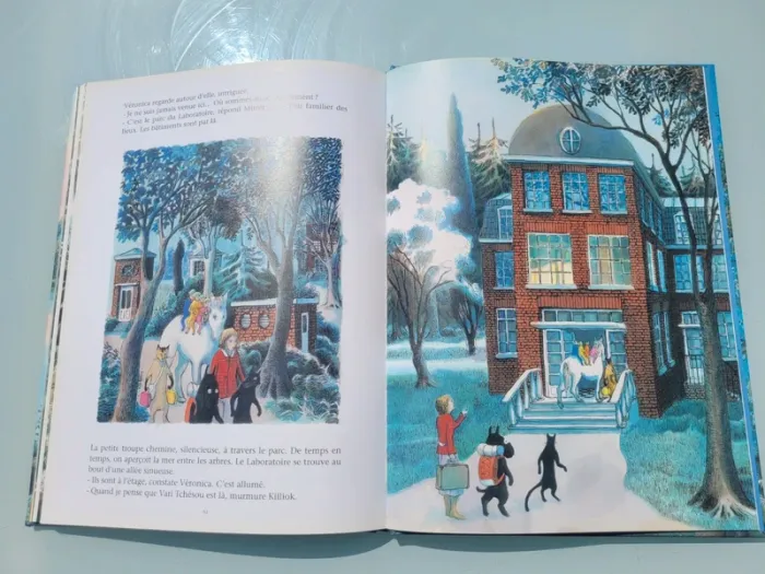 Livre couverture rigide, grand format, l'école des loisirs, La Grande Forêt, le pays des Chintiens - photo numéro 8