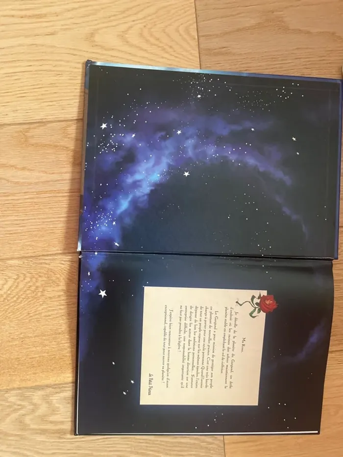 Le petit prince la planète de Gehom - photo numéro 3