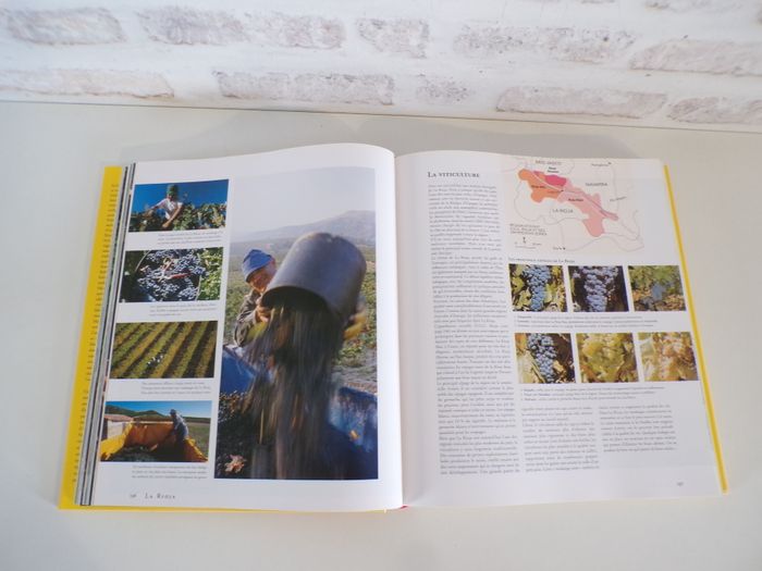 Livre - Plaisir gourmands d'Espagne - photo numéro 3