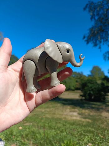 Bébé éléphant playmobil