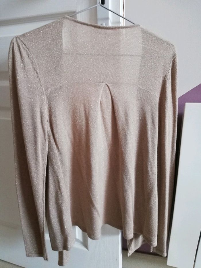 Gilet doré - photo numéro 2