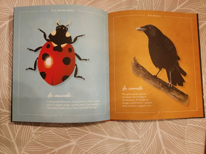 Faune sauvage - photo numéro 2