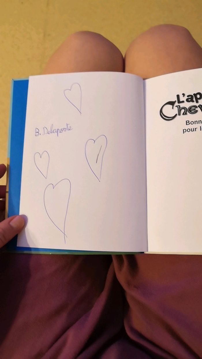 Livre l'apprenti Chevalier, bonne chance pour le tournoi ! - photo numéro 4