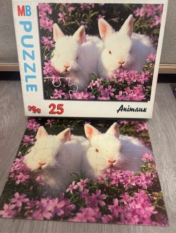 Puzzle lapin