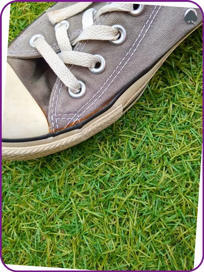 Converse courte homme Gris - photo numéro 7