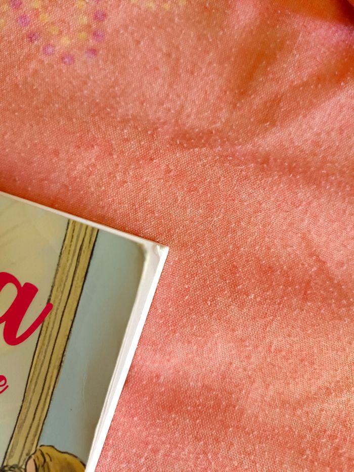 Livres série Anna tome 1 - photo numéro 3