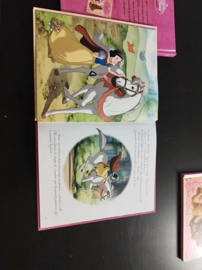 Lot 3 livres Disney princesses et chevaux - photo numéro 6