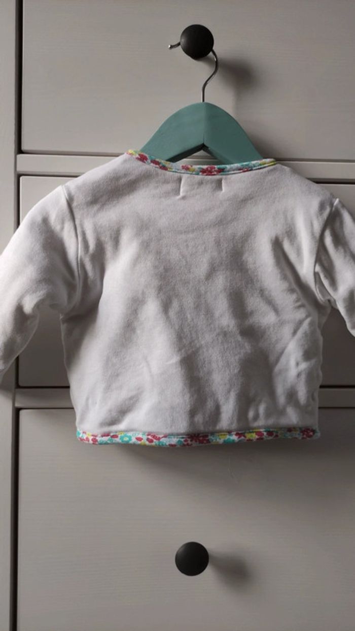 Veste - photo numéro 3