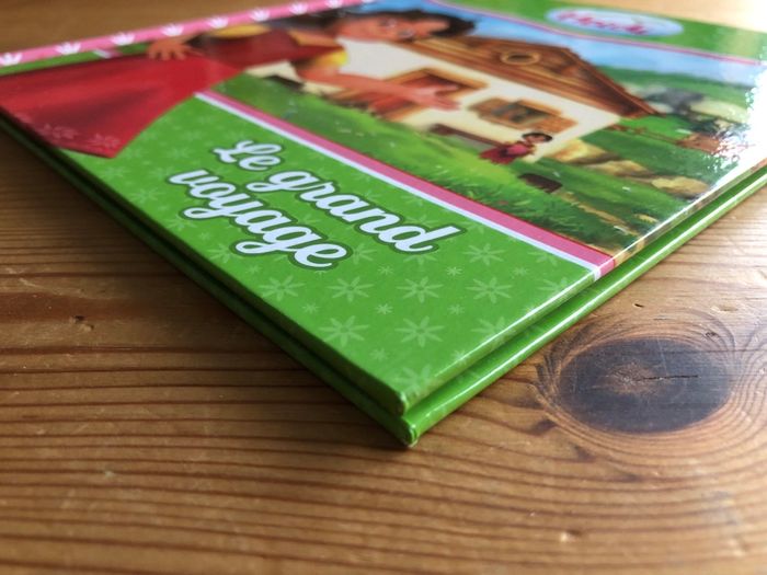 Livre Heidi : Le grand voyage - photo numéro 5