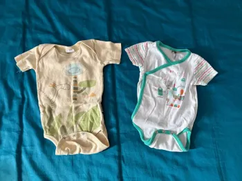 bodie manches courtes