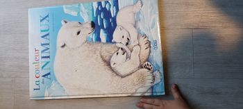 Livre géant la couleur des animaux