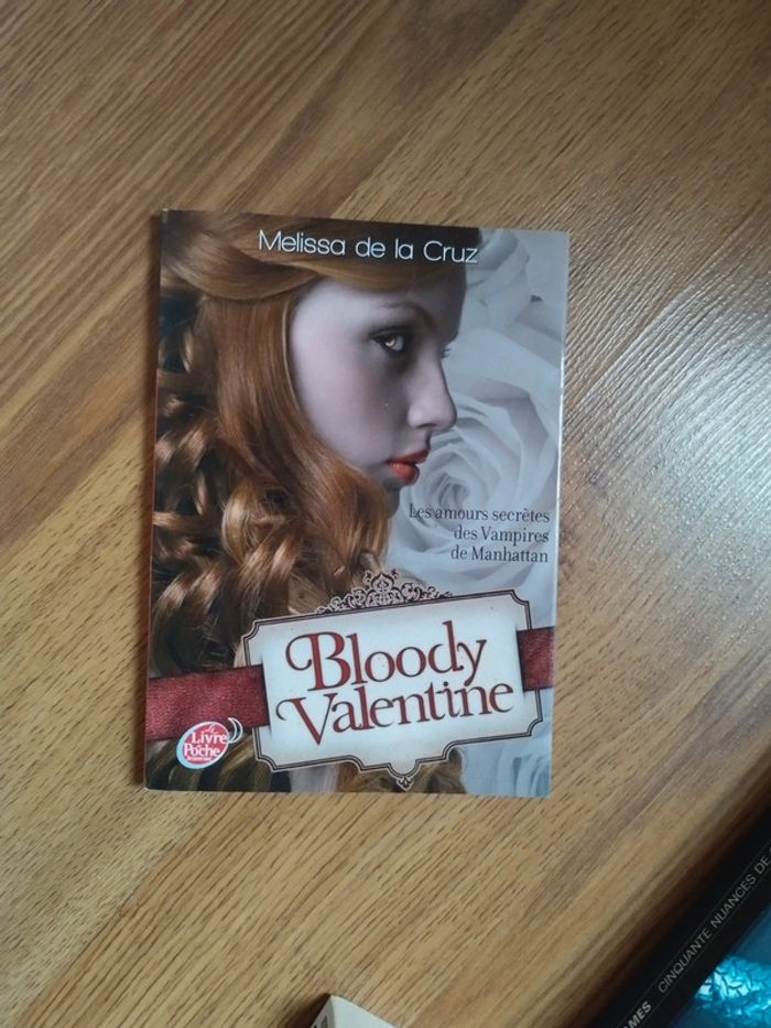 Lot de livres romance - photo numéro 13