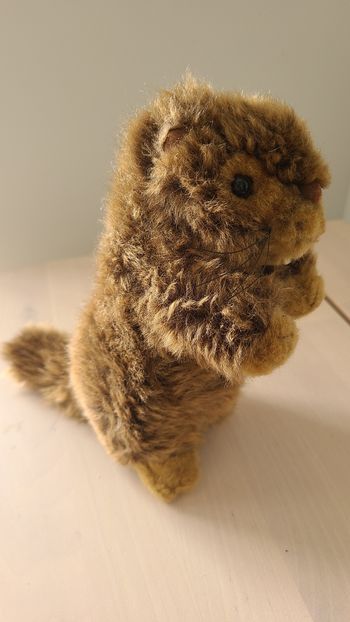 Peluche marmotte