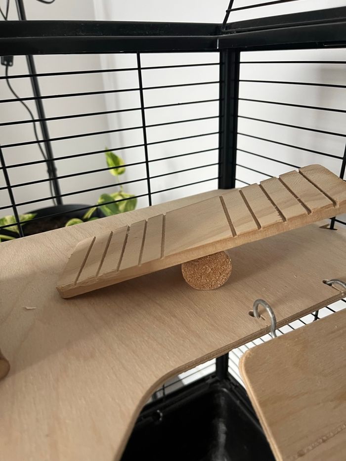 Set hámster - photo numéro 9