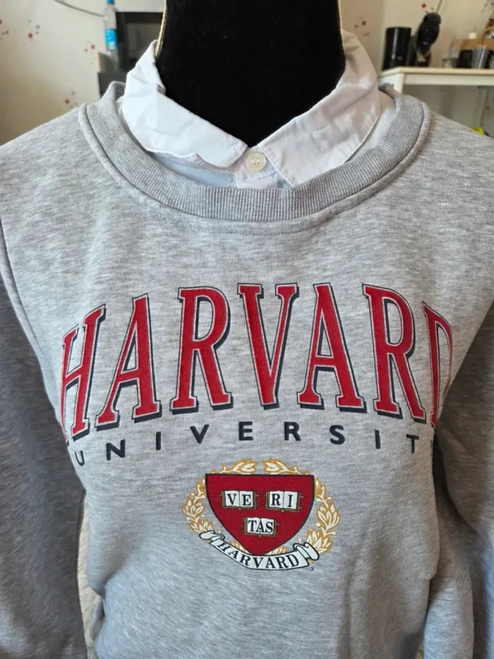 🤗 Pull chaud femme T.M Harvard - photo numéro 2