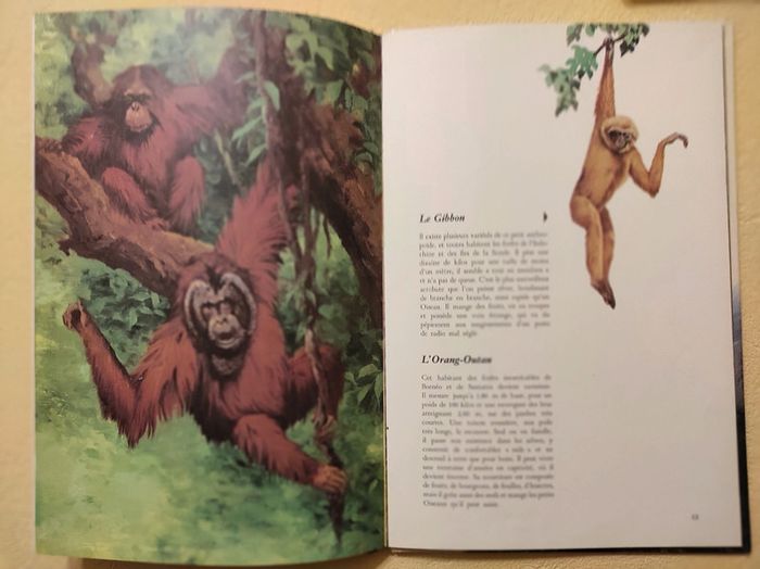 Livres animaux - photo numéro 6