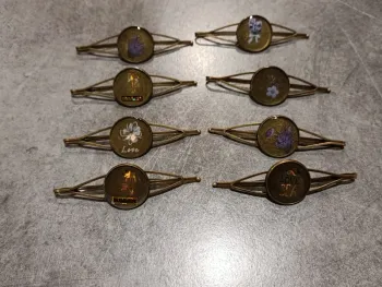 Barrettes couleur bronze