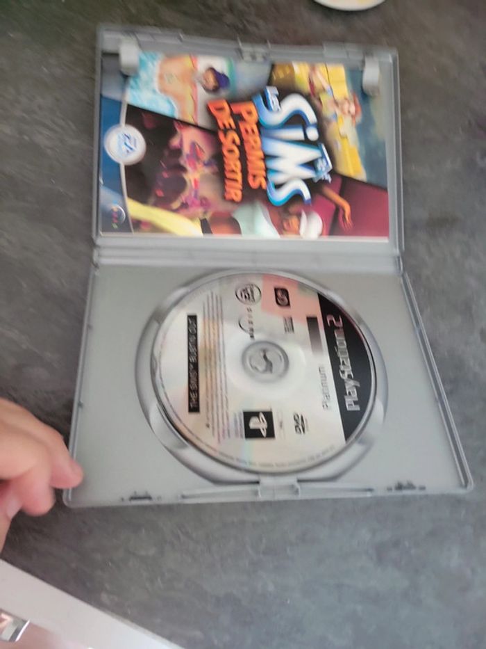 Jeu vidéo PlayStation 2 les simples permis de sortir - photo numéro 3