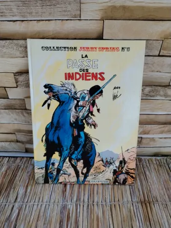 BD la passe des indiens