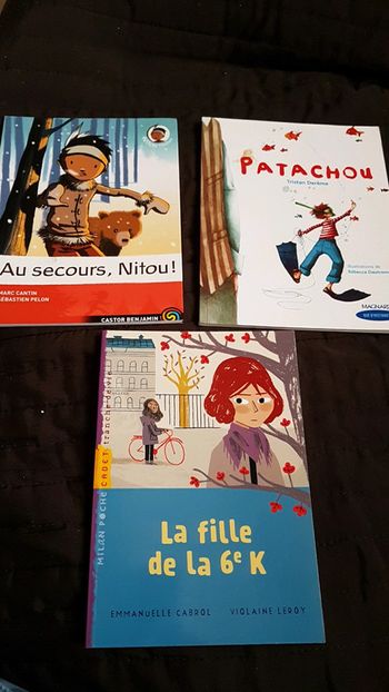Lot de 3 livres Au secours Nitou / Patachou / la fille de la 6e K