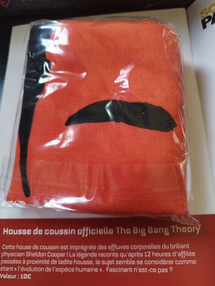 Housse de coussin Big bang theory - photo numéro 2
