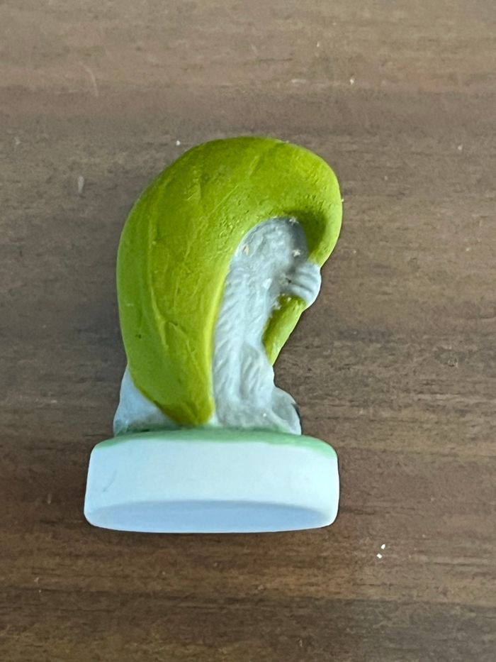 Fève Ouistiti - photo numéro 2