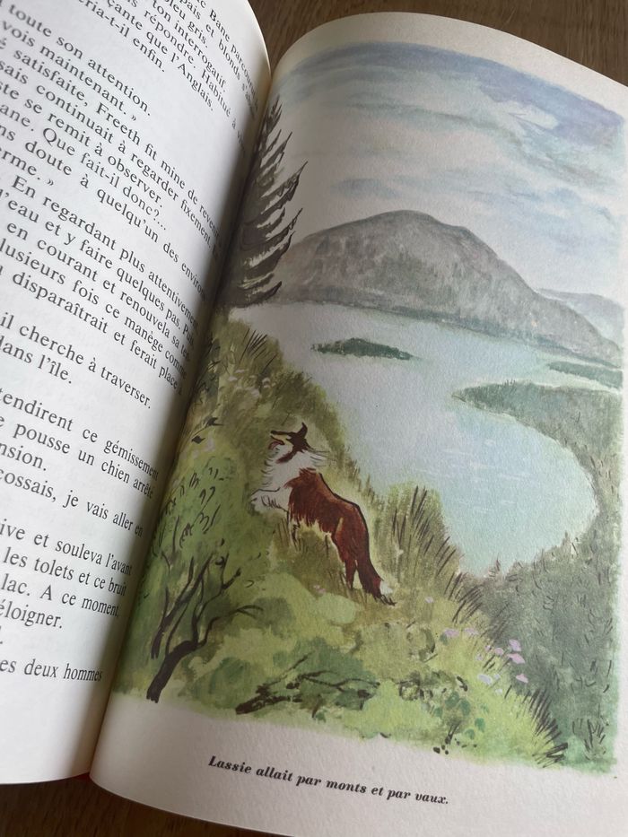 Lassie, chien fidèle - photo numéro 6