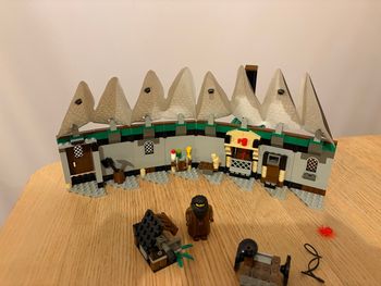 Lego 4707 Harry Potter - la cabane d’Hagrid 