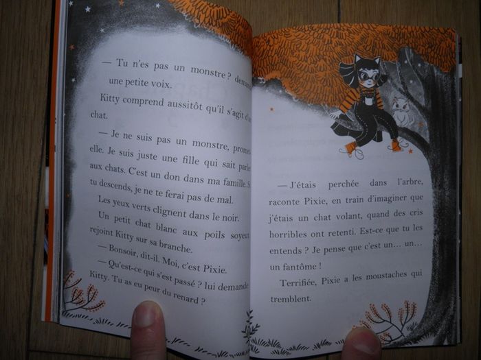 Roman Kitty - Tome 1: Au clair de la lune (Paula Harrison) NEUF - photo numéro 3