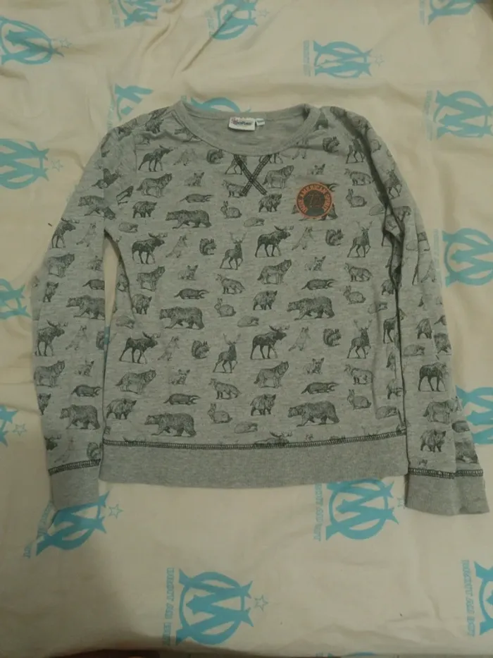 Pull 10 ans theme nature - photo numéro 2