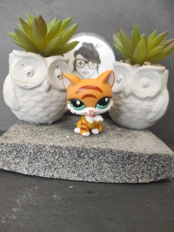 Littlest Petshop LPS Pet Shop chat Chartreux 2332 Blythe cat  #geektradelpschat