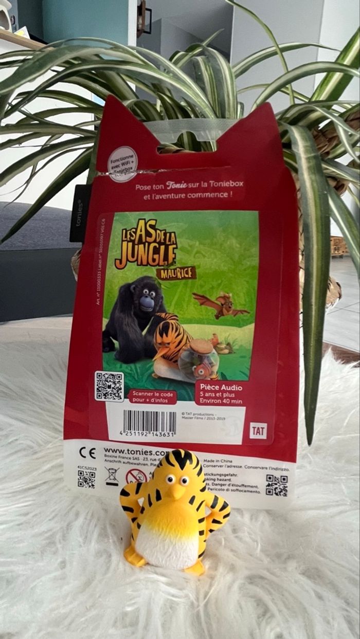 Tonies Maurice - photo numéro 2