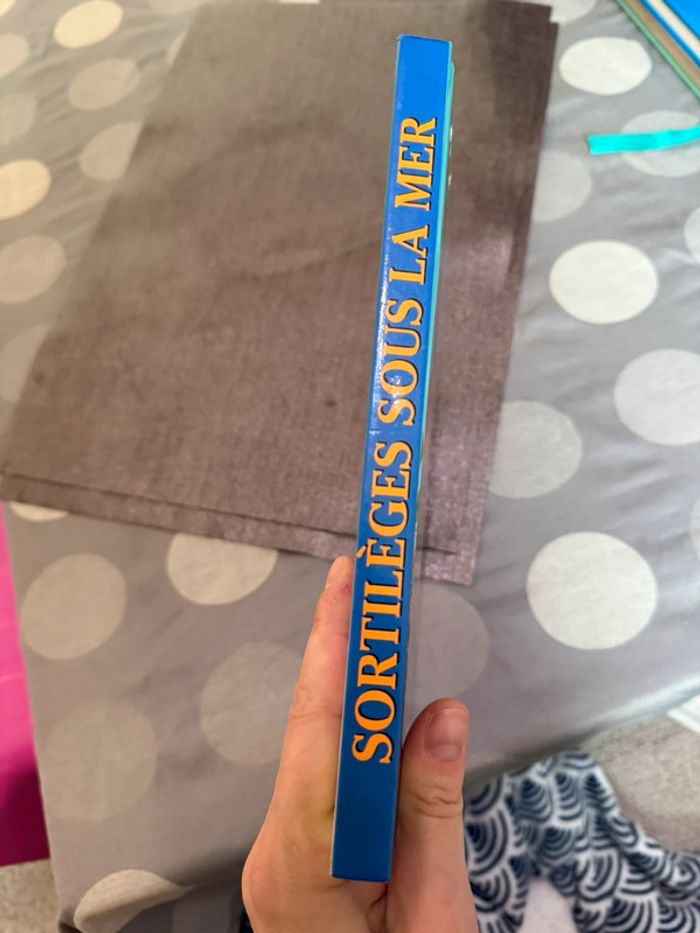 Livre de la petite sirène - photo numéro 3