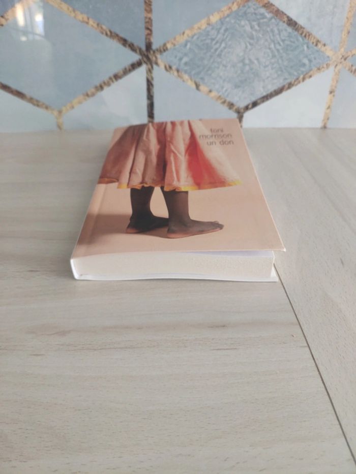 Livre Un don Toni Morrison roman sur l'esclavage - photo numéro 3