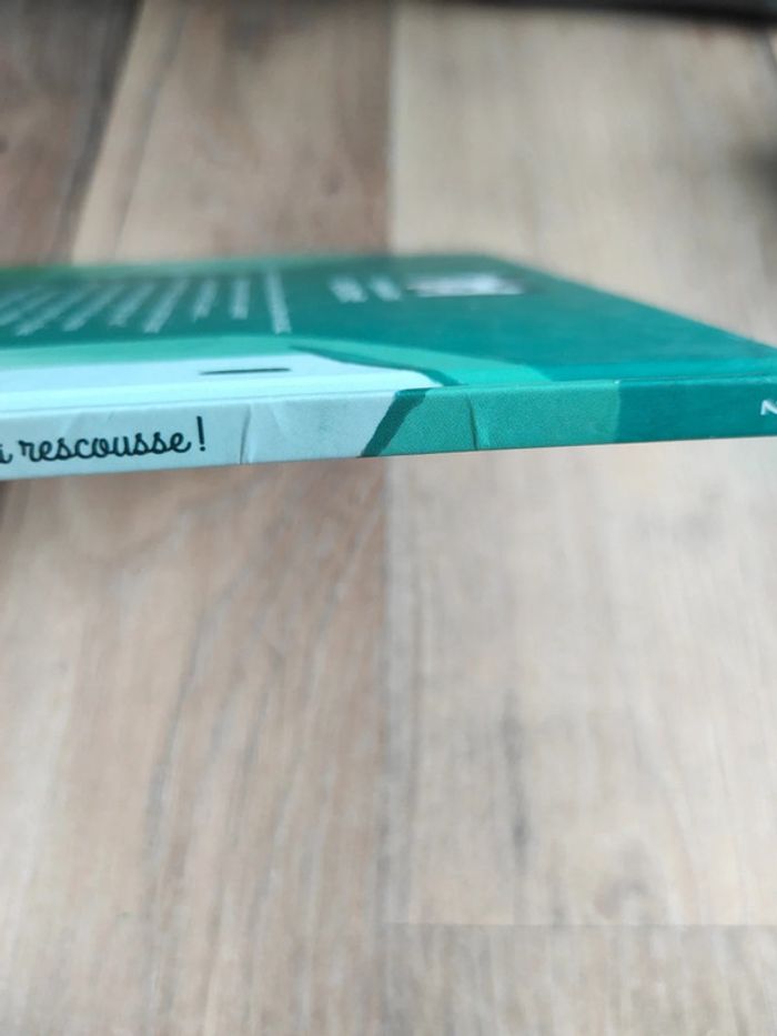 Livre : Le Chat botté à la rescousse - photo numéro 4