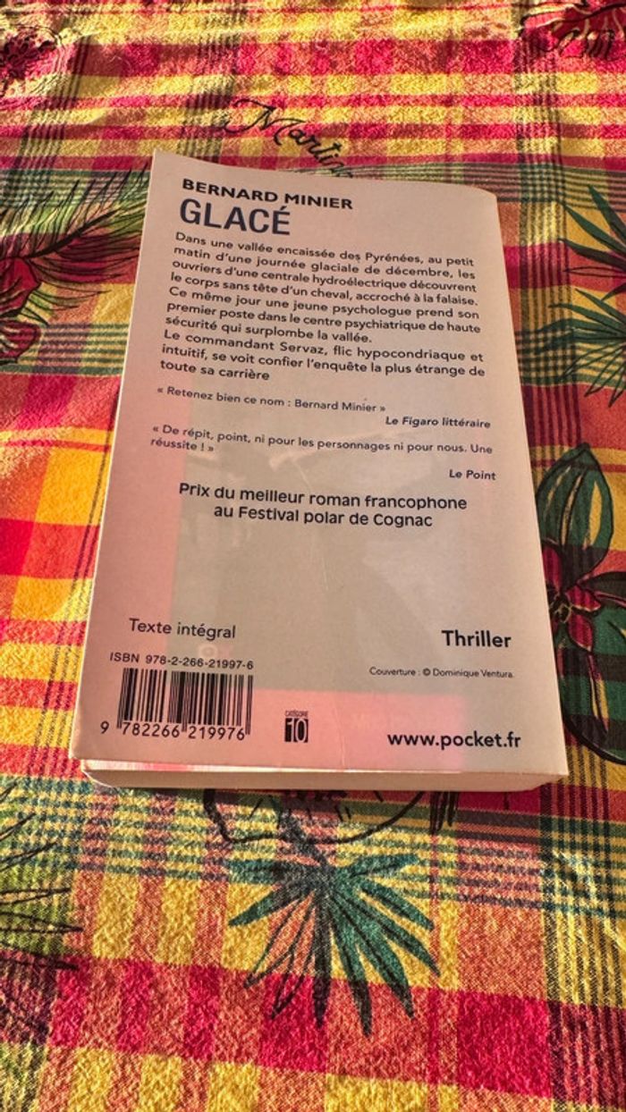 “Glacé” de Bernard Minier - Thriller glaçant et culte - Édition Pocket - photo numéro 4